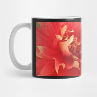 Dahlia Frills Mug